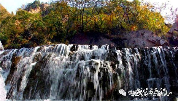 逃离仿真森林