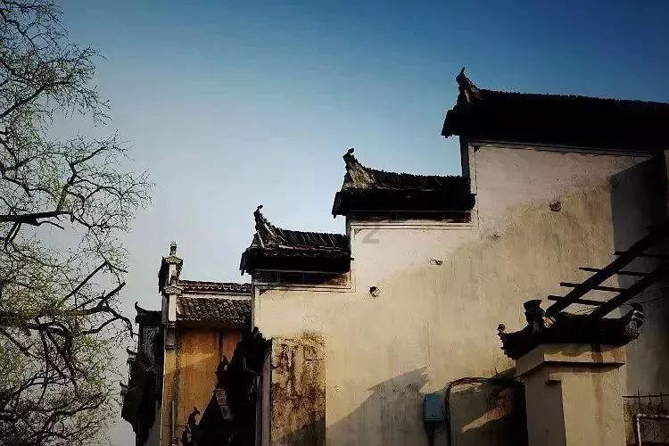 独狼逃跑